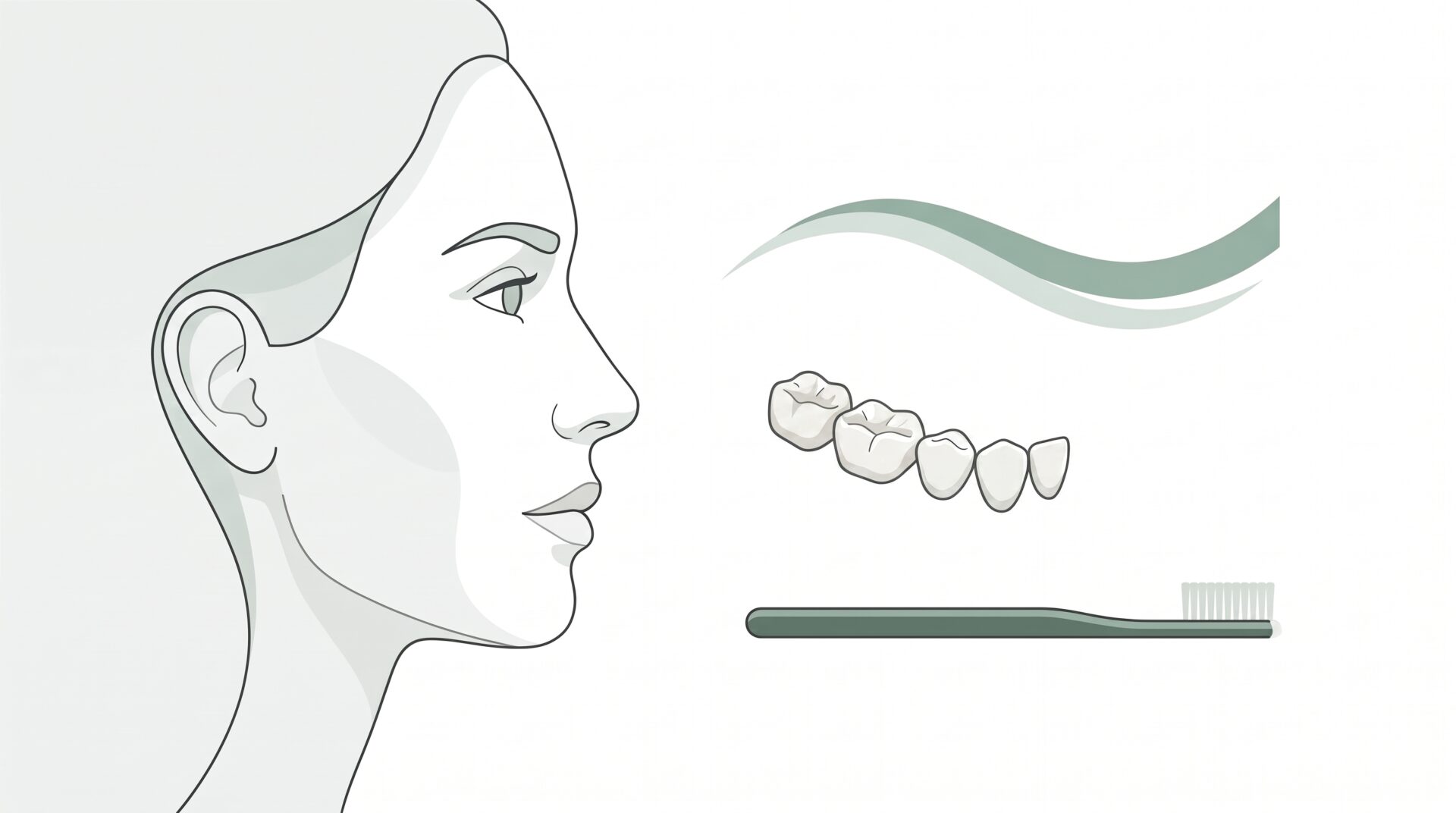 An adult profile sits beside a small partial dental arch, a subtle protective arc and a slim toothbrush.